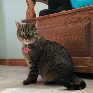 Meet your Posher, Charlotte